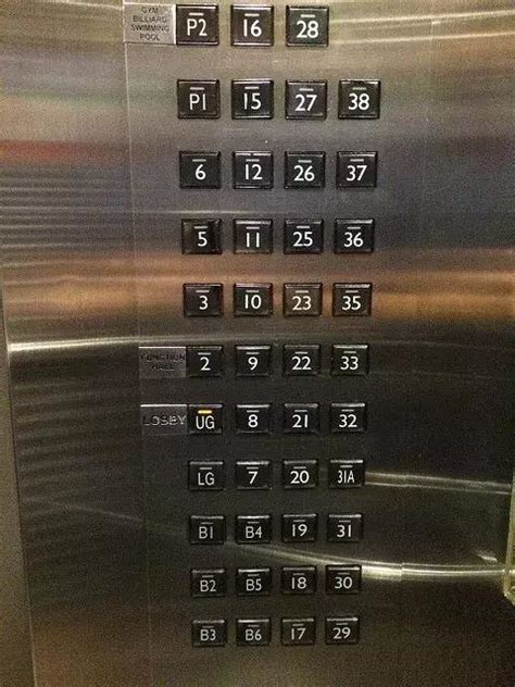 電梯下樓 杜鵑花